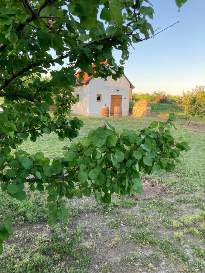 Ubytování Šmudla Znojmo Esterno foto