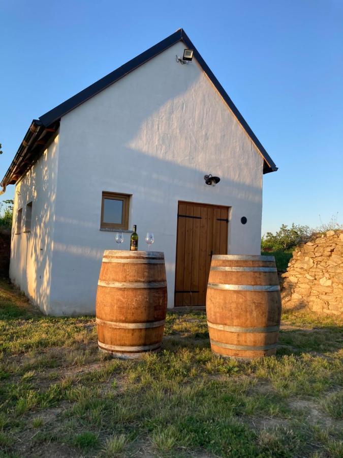 Ubytování Šmudla Znojmo Esterno foto