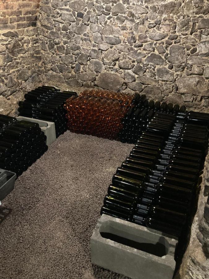 Ubytování Šmudla Znojmo Esterno foto