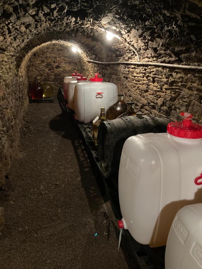 Ubytování Šmudla Znojmo Esterno foto